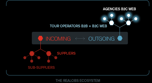 The REALOBS ecosystem